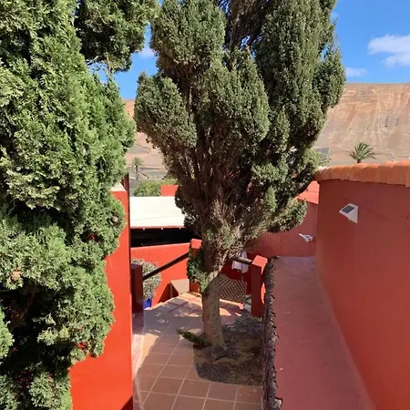 Centro Ave Fenix Femés